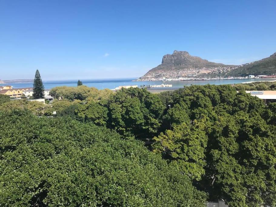 Chapman'S Peak, Loft Mit Sea-Und Mountainview Apartment Hout Bay Exterior foto